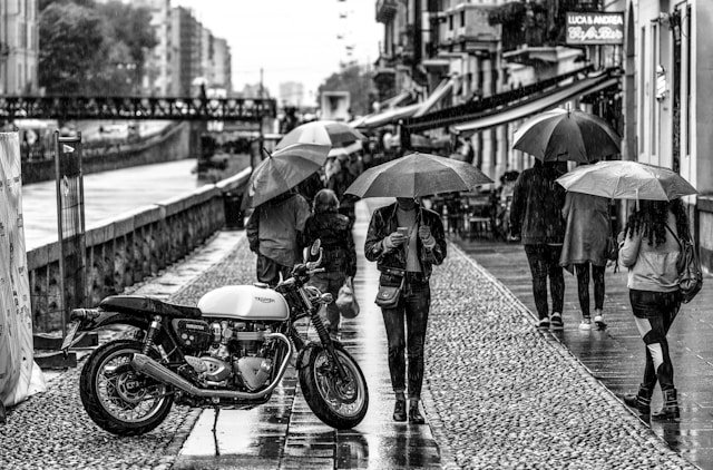 Paraguas en un día gris